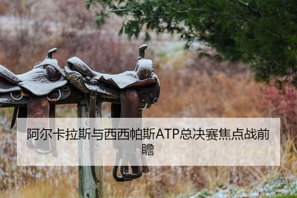 阿尔卡拉斯与西西帕斯ATP总决赛焦点战前瞻（188sports）